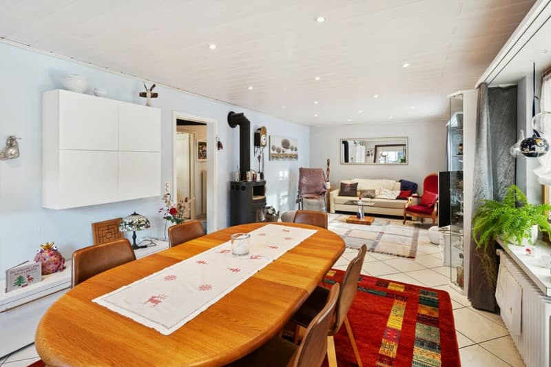 5½-room semi-detached house (10)