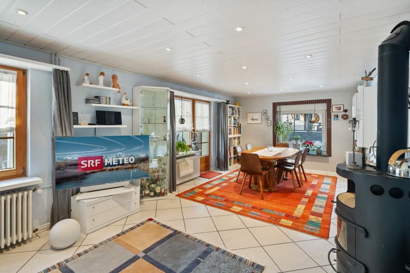 5½-room semi-detached house (9)