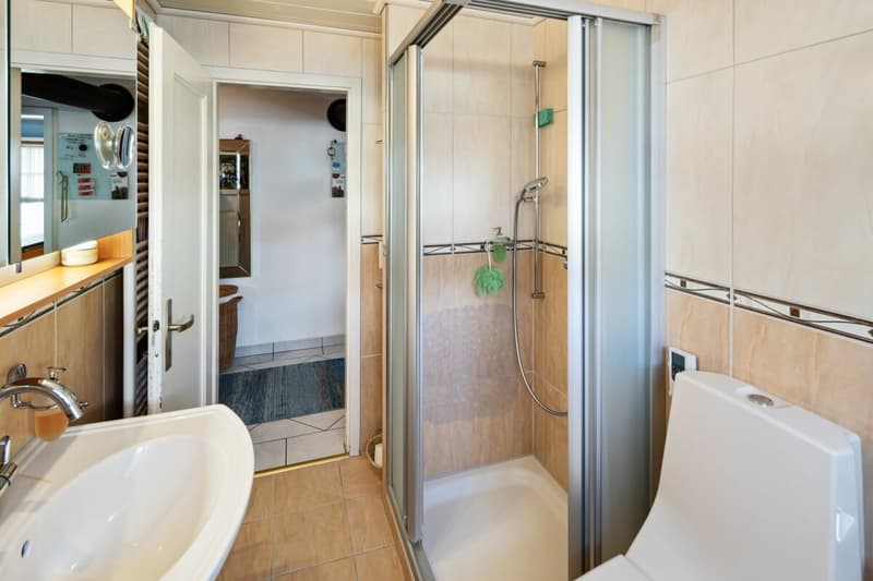 5½-room semi-detached house (7)