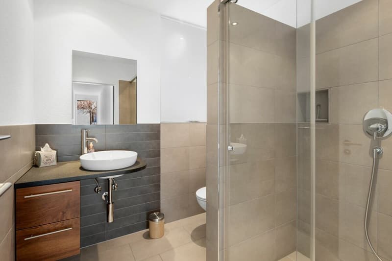 5½-room single-family house (12)