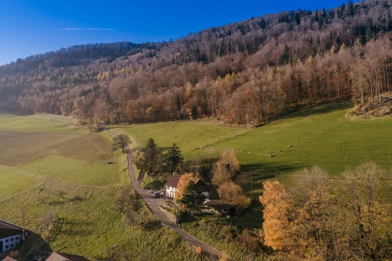 Grundstück im idyllischen Weiler Hauenstein-Ifenthal (5)