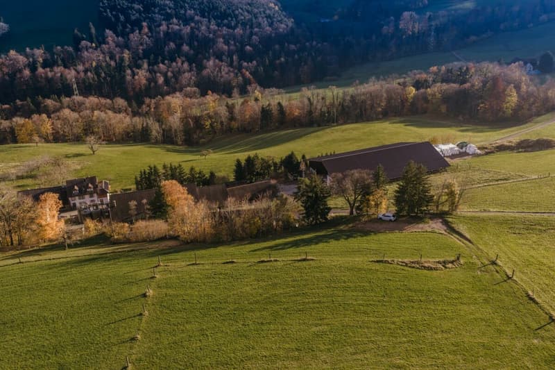 Grundstück im idyllischen Weiler Hauenstein-Ifenthal (6)