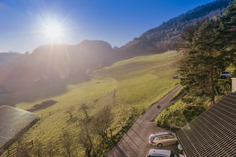 Grundstück im idyllischen Weiler Hauenstein-Ifenthal (7)