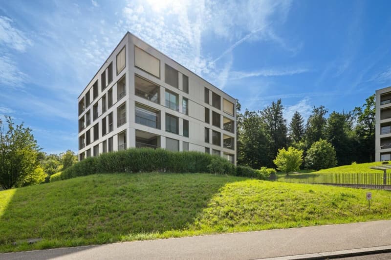 Appartamento in proprietà di 4½ locali (18)