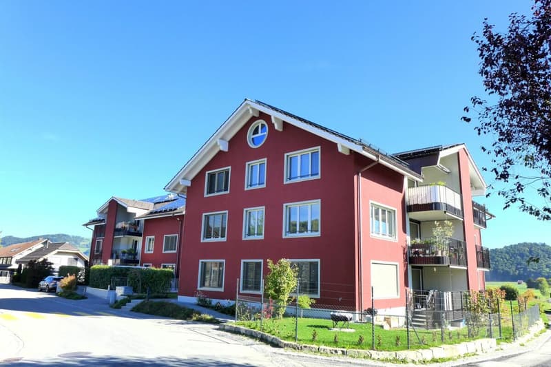 Appartement de 4 1/2 pièces au dernier étage avec galerie (2)