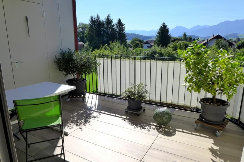 Appartement de 4 1/2 pièces au dernier étage avec galerie (4)