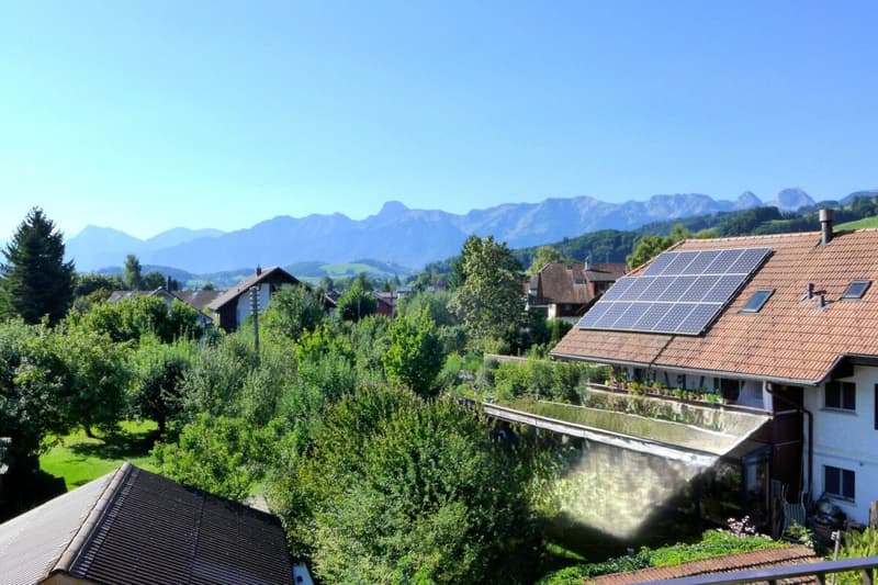 Appartement de 4 1/2 pièces au dernier étage avec galerie (3)
