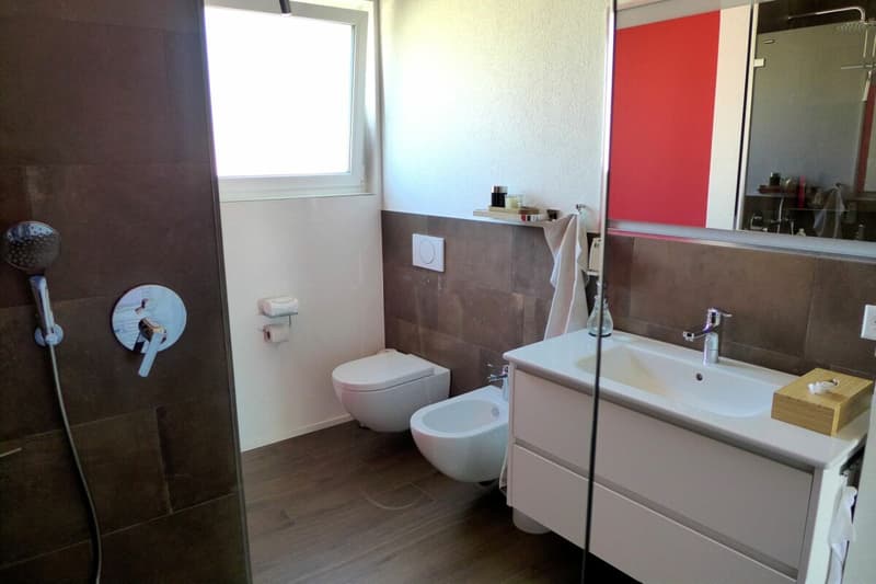 Appartement de 4 1/2 pièces au dernier étage avec galerie (9)