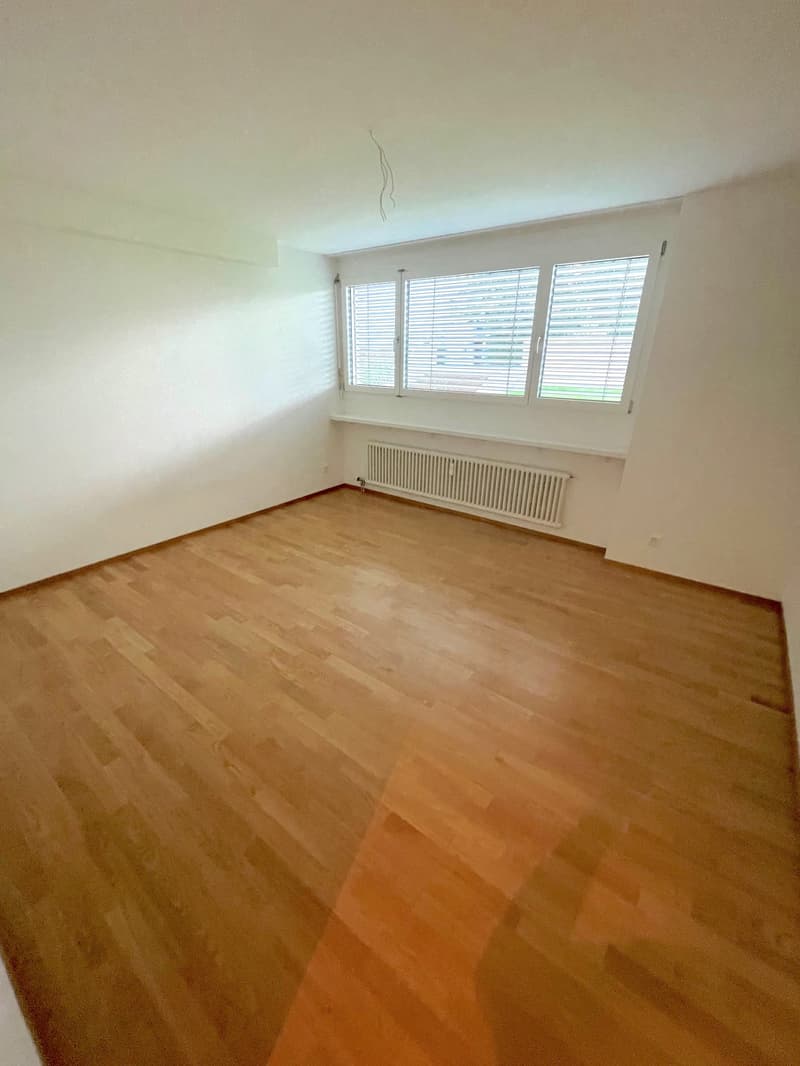 empty room, hardwood floors, windows with white shutters, white walls, white radiator