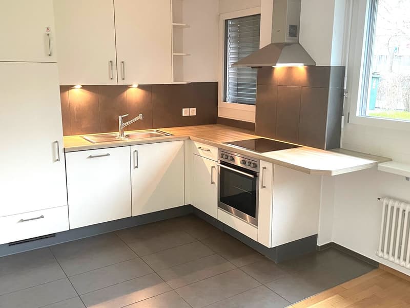 modern white kitchen, gas stove, oven, dishwasher, refrigerator, sink, lighting