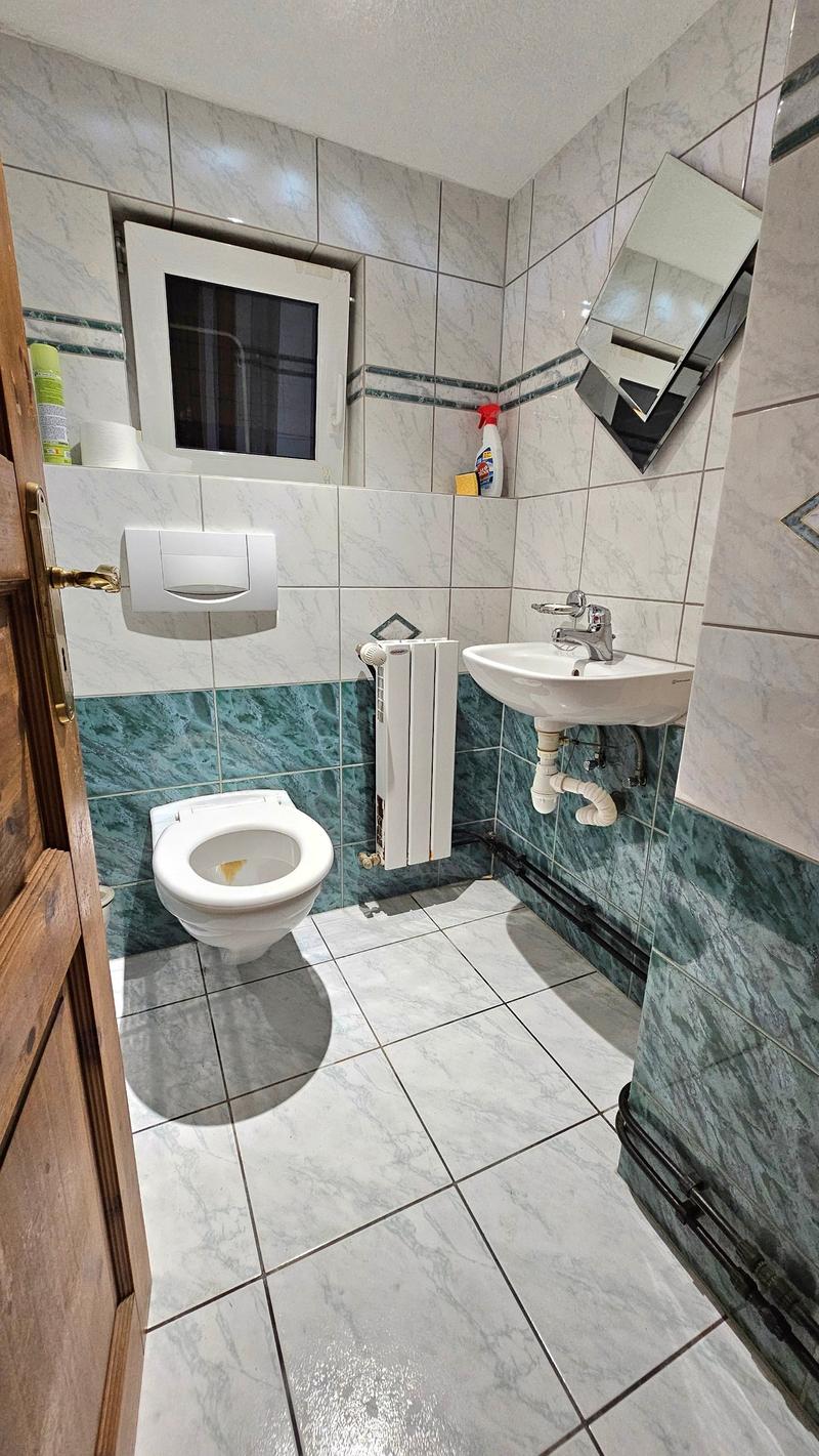 small bathroom with white toilet, white sink, green tile, silver faucet, white mirror, window, white radiator, white wall