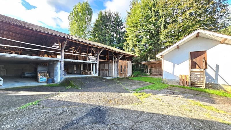 Two structures, large barn, and smaller house, open garage, surrounded by trees