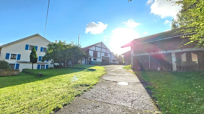 Countryside house, paved driveway, large garden, garage