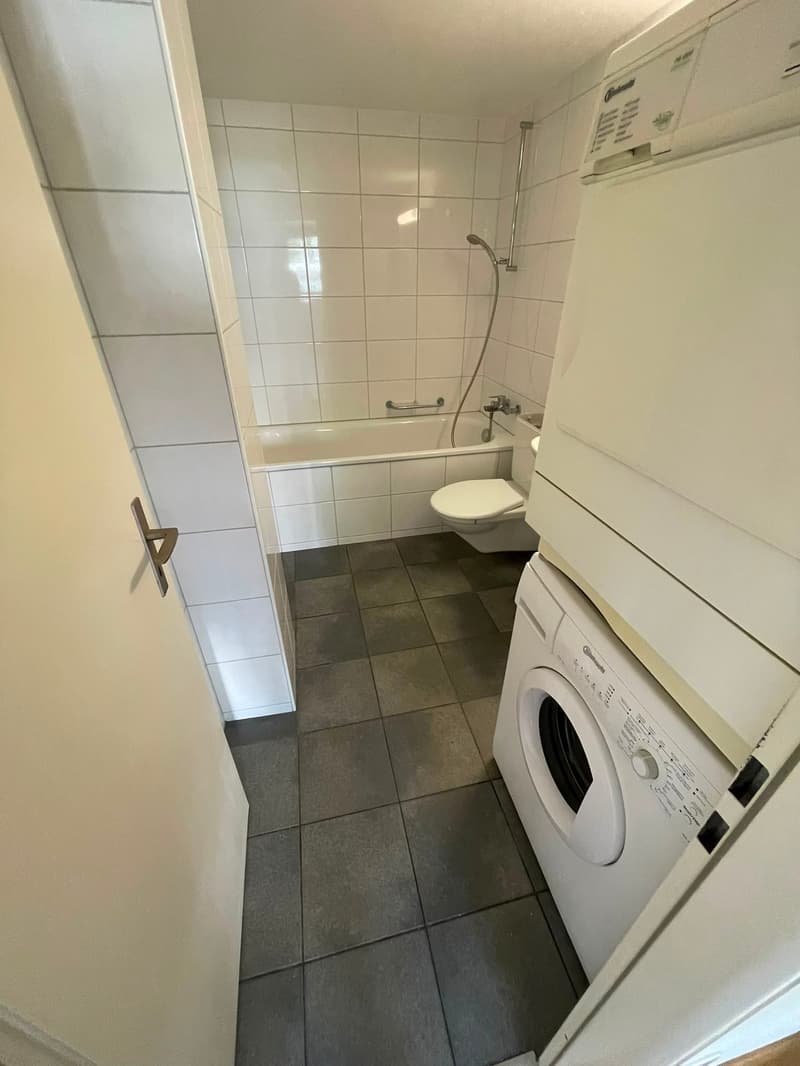 Affascinante appartamento maisonnette 4.5 locali con caminetto (5)