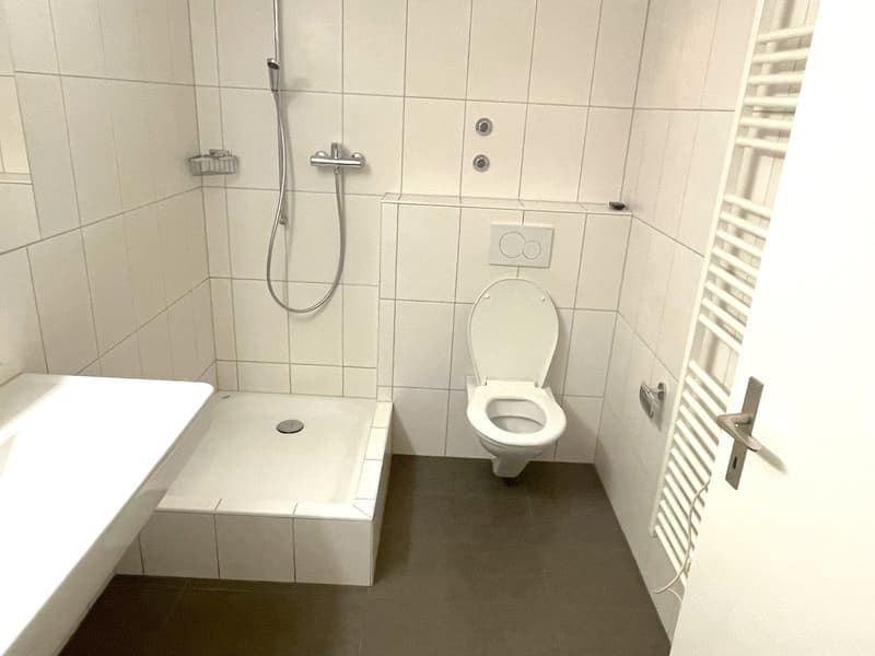 3.5-Zimmerwohnung mit zentraler Lage und guter Infrastruktur (9)