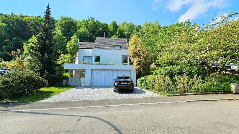 Traumhaftes Architektenvilla mit Pool in Ferrette (3)