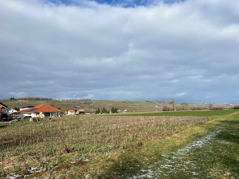 Einfamilienhaus mit Doppelgarage (14)
