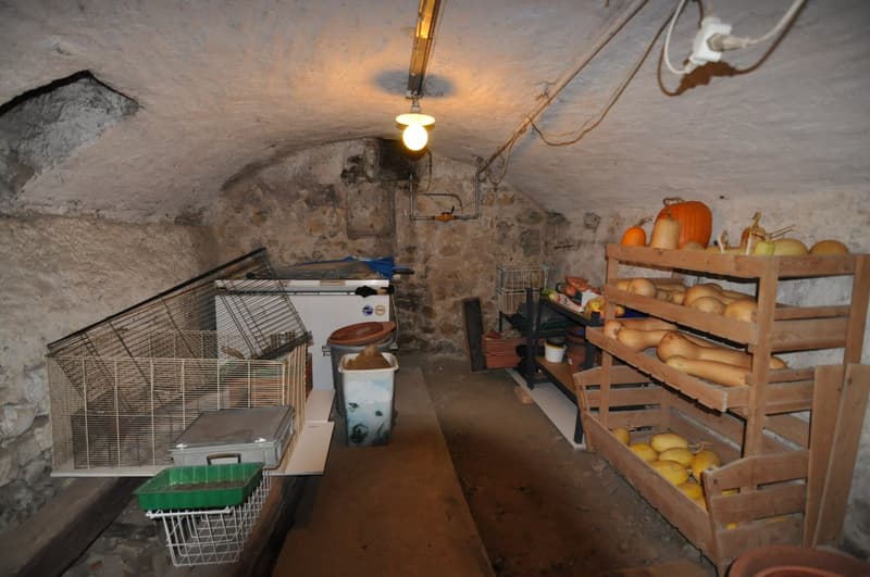 Affascinante casa colonica di 5,5 locali in vendita (9)
