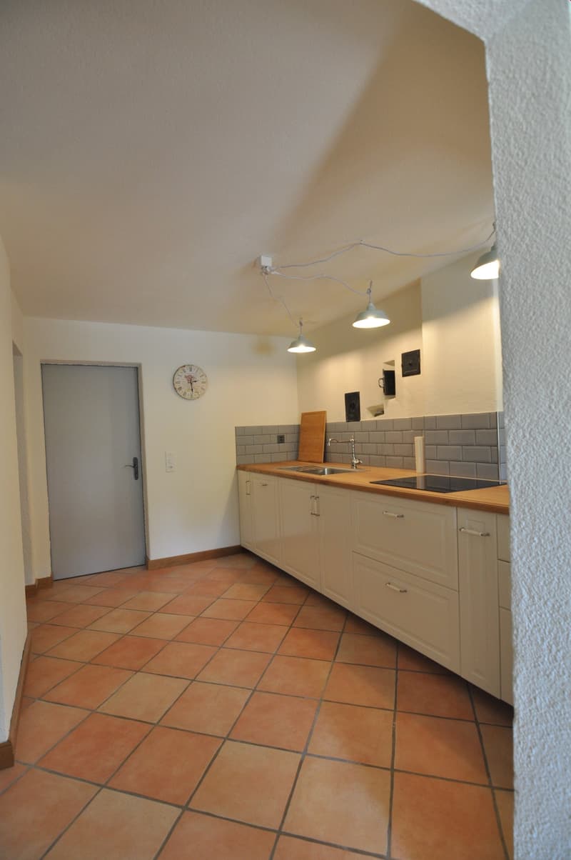 möblierte 3.5 Zi. Wohnung, Nebenkosten inkl. Idyllische, ruhige Lage (9)