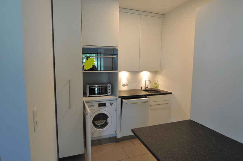 Gemütliche 1.5-Zimmer-Wohnung an ruhiger Lage in Windisch (3)
