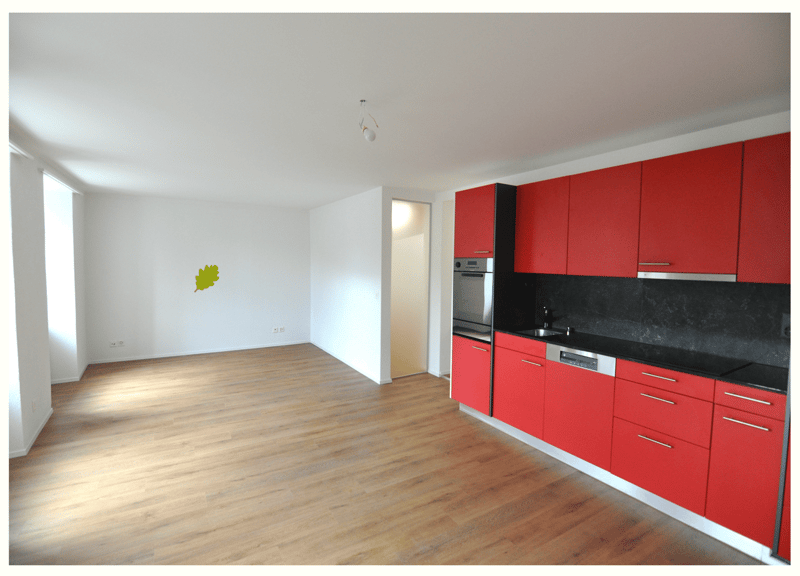 Attraktive 2.5 Zimmer Wohnung in historischen Mauern in Schinznach Dorf (3)