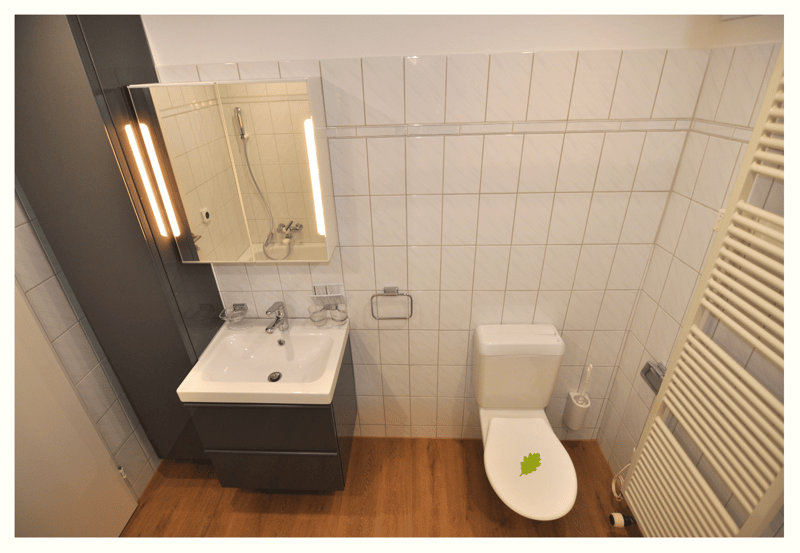 Attraktive 2.5 Zimmer Wohnung in historischen Mauern in Schinznach Dorf (10)
