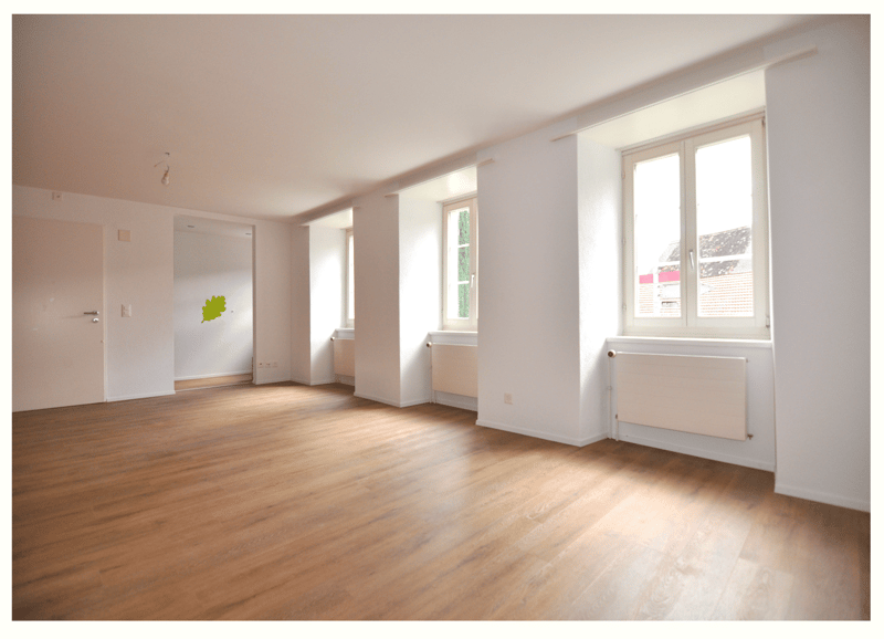 Attraktive 2.5 Zimmer Wohnung in historischen Mauern in Schinznach Dorf (5)
