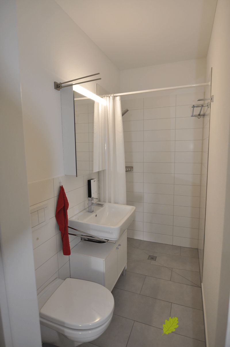Cozy 1.5-room apartment in a quiet location in Windisch (5)