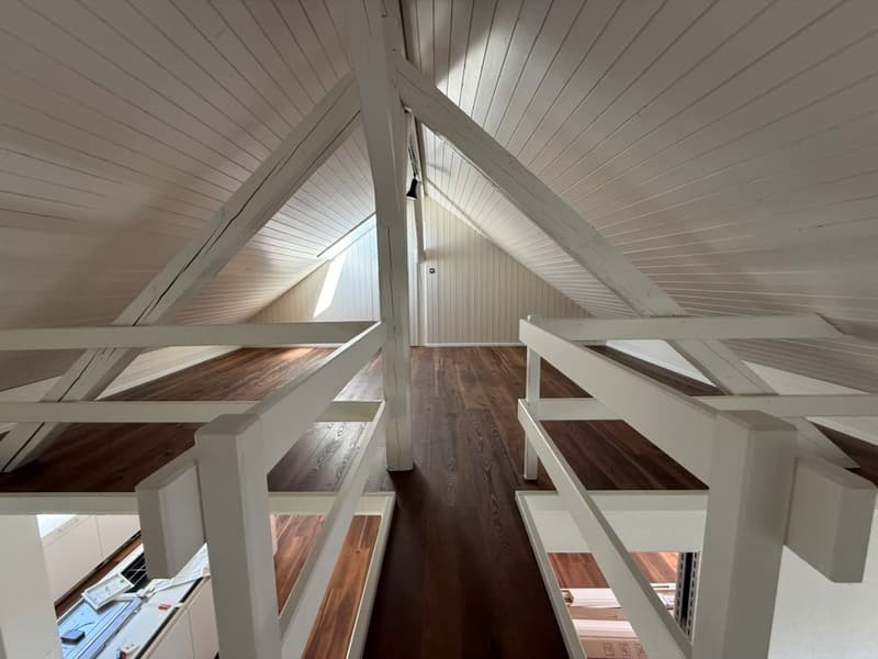 Erstbezug nach Sanierung: Charaktervolle 4.5-Zimmer-Maisonette-Wohnung mit Wintergarten und Galerie (3)
