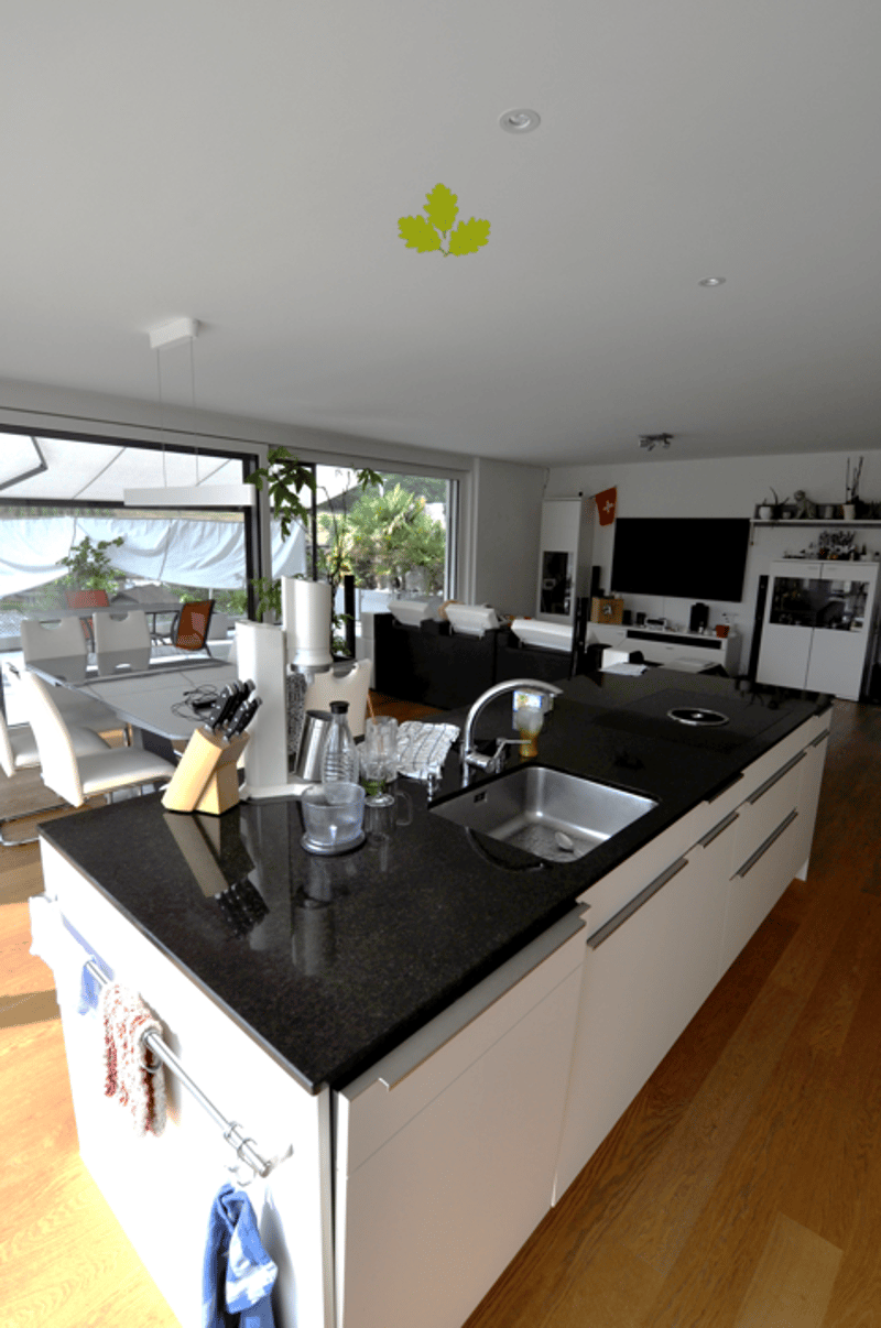 Modern 3.5-room attic apartment with panoramic view in Bözen (4)