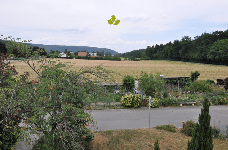 Appartement lumineux 4.5 pièces avec balcon à Riniken – disponible immédiatement ! (9)