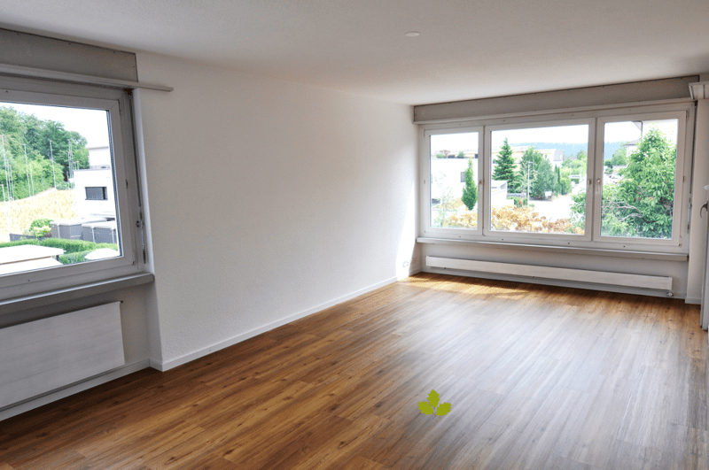 Appartement lumineux 4.5 pièces avec balcon à Riniken – disponible immédiatement ! (1)