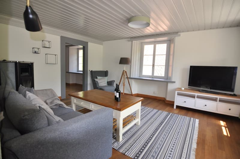 möblierte 3.5 Zi. Wohnung, NK inkl. an idyllischer, ruhiger Lage (3)