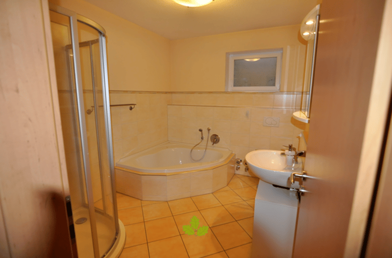 Luxuriöse Einliegerwohnung an Hanglage in Elfingen (7)