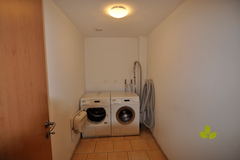 Luxuriöse Einliegerwohnung an Hanglage in Elfingen (9)