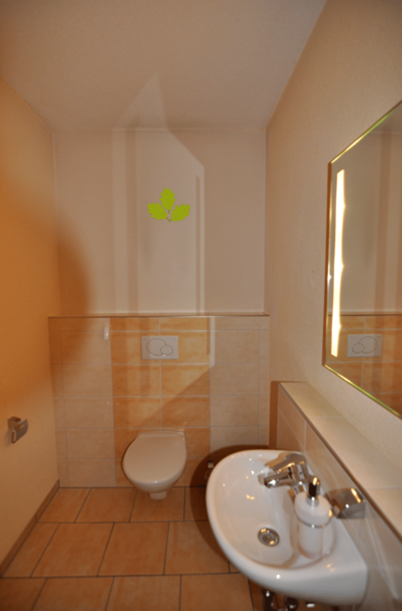 Luxuriöse Einliegerwohnung an Hanglage in Elfingen (8)