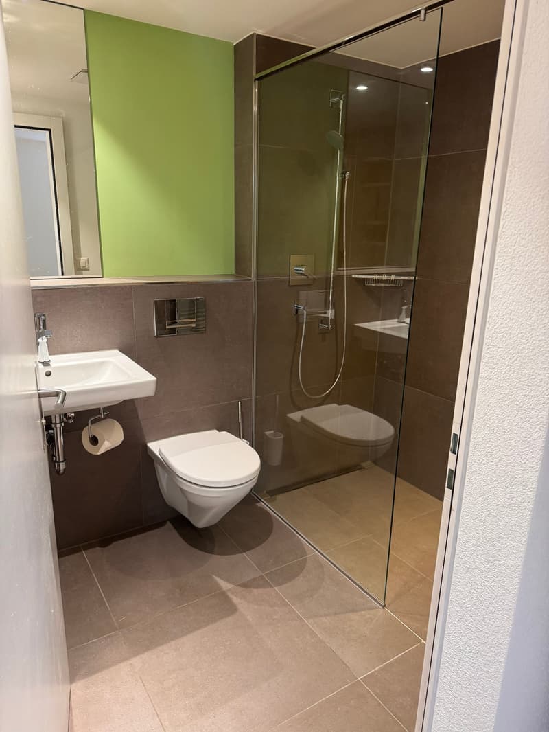 Gemütliches Studio im Erdgeschoss in Brugg (4)