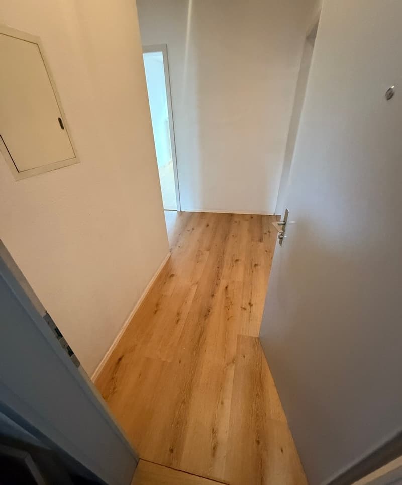 Frisch renovierte 4.5-Zimmer-Wohnung mit zwei Balkonen und Aussicht auf den Claraplatz (7)