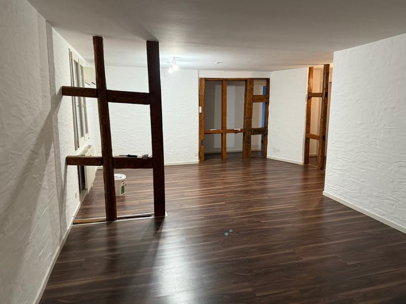 4-Zimmer-Wohnung in Binningen (2)