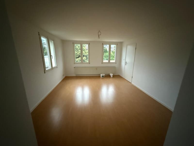 4-Zimmer-Wohnung in Binningen (4)
