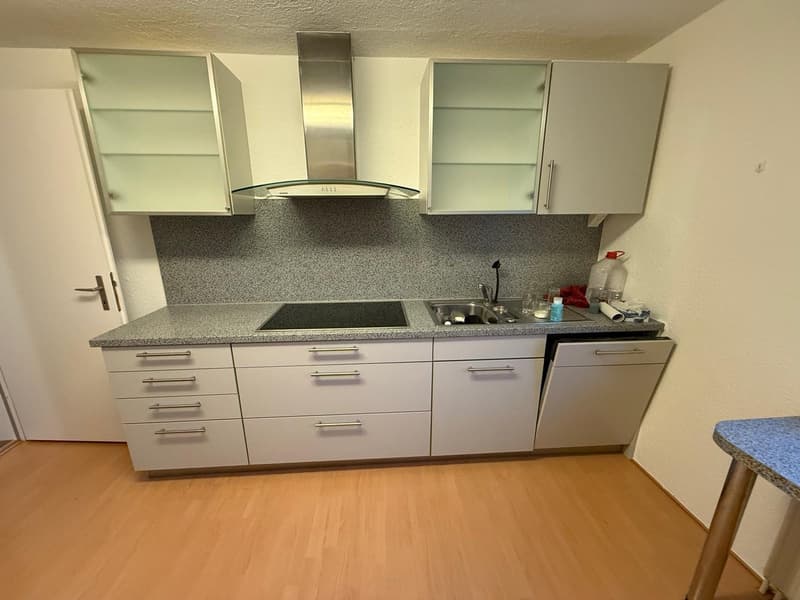 4-Zimmer-Wohnung in Binningen (5)