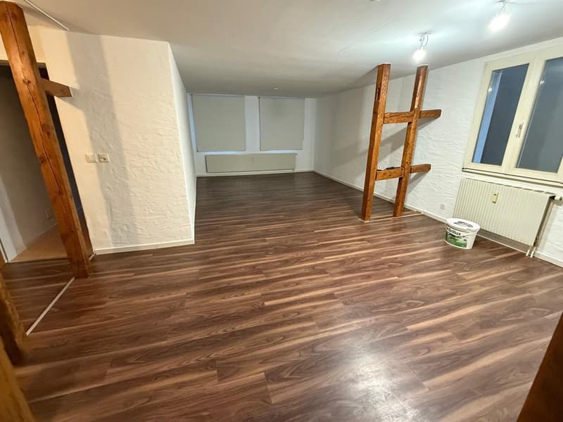 4-Zimmer-Wohnung in Binningen (3)