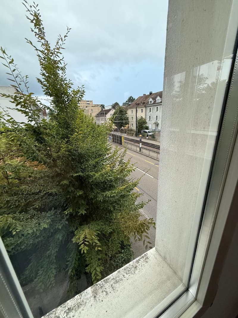 4-Zimmer-Wohnung in Binningen (8)