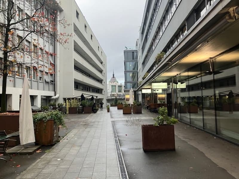 Empty street between buildings, trees, plants, and street lights