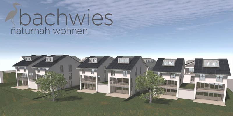 Newly built 6 spacious single-family homes with up to 8.5 rooms to your liking (1)
