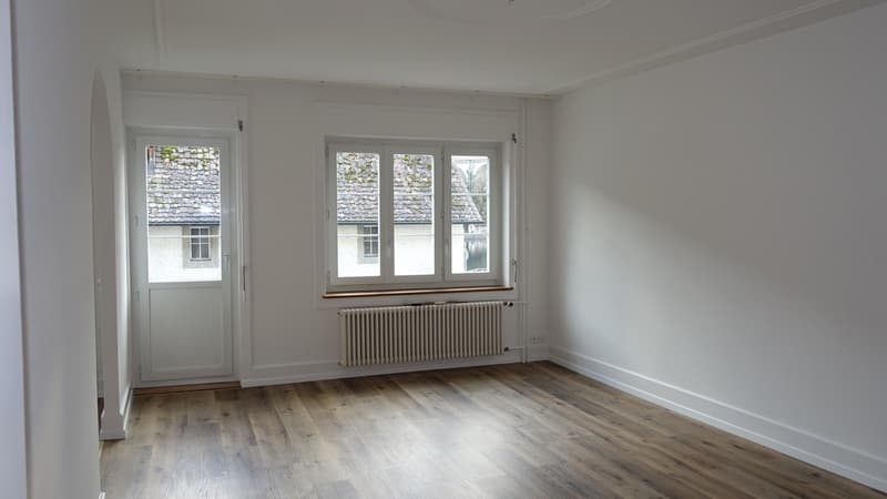 Casa residenziale e commerciale in posizione eccellente a Schaffhausen (7)