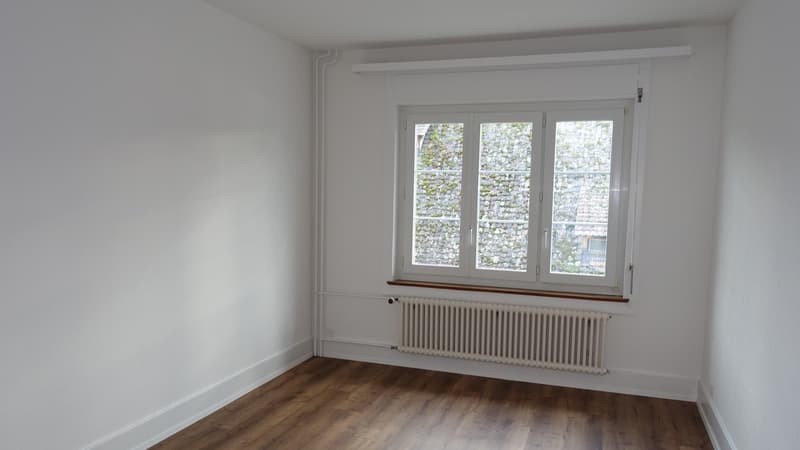 Casa residenziale e commerciale in posizione eccellente a Schaffhausen (6)