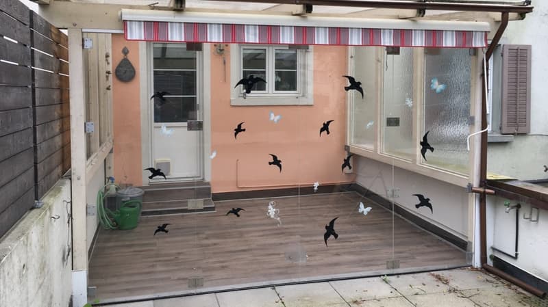 Casa residenziale e commerciale in posizione eccellente a Schaffhausen (9)