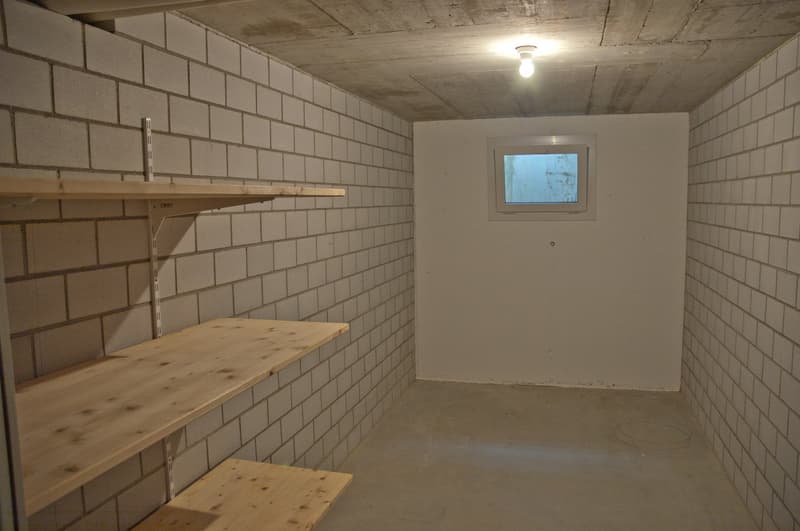 Charmante 5.5-Zimmer-Maisonette-Wohnung mit Seesicht in Eschenz (24)