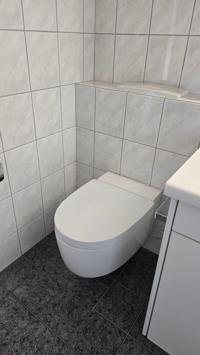 Charmante 5.5-Zimmer-Maisonette-Wohnung mit Seesicht in Eschenz (19)